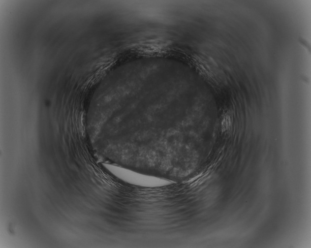 X0000097661156200803280945