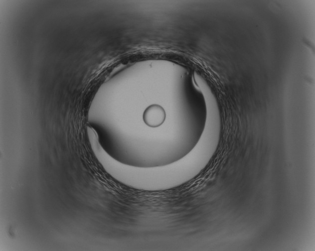 X0000097661157200803280945
