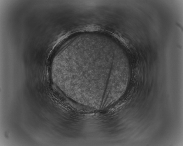 X0000097661160200803280945
