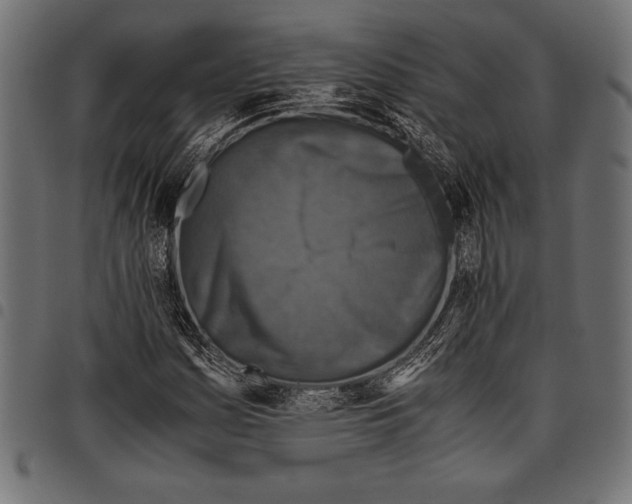 X0000097661161200803280945