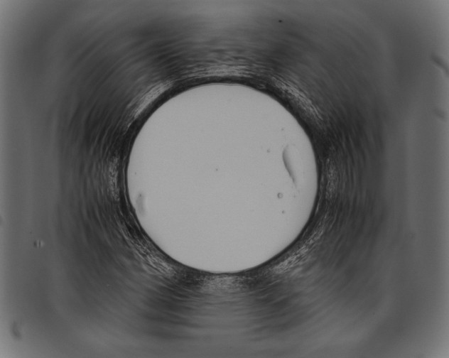 X0000097661162200803280945
