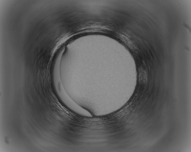 X0000097661164200803280945