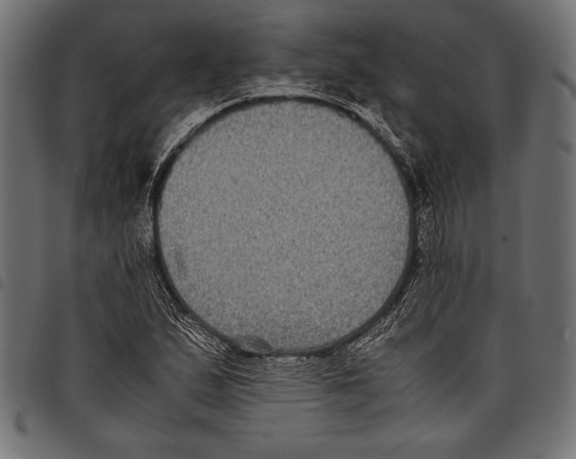 X0000097661167200803280944