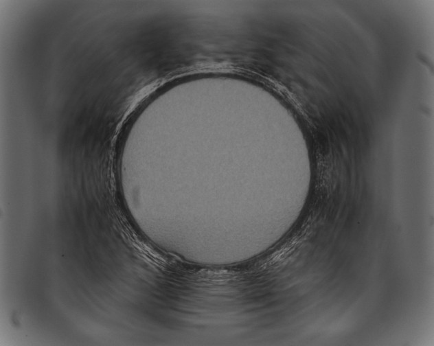 X0000097661168200803280944