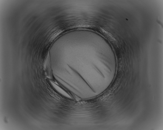 X0000097661169200803280944