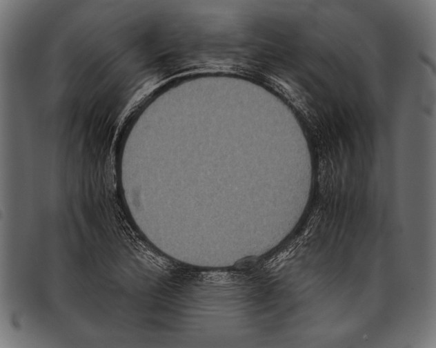 X0000097661172200803280944