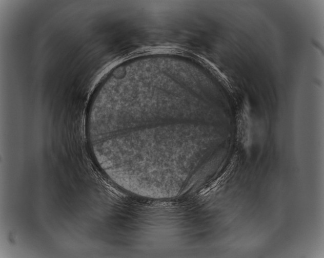 X0000097661174200803280944