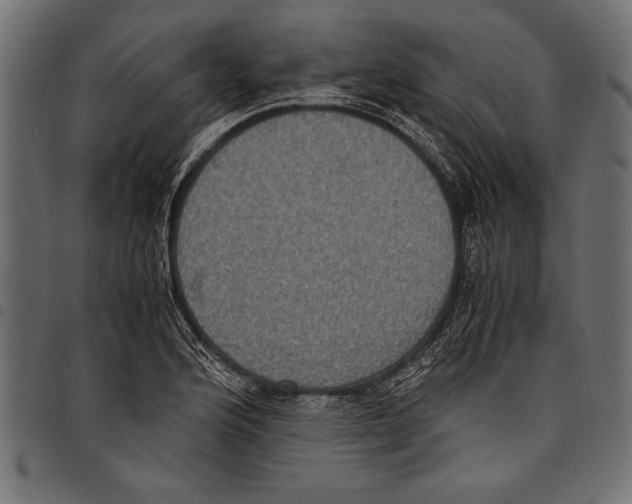 X0000097661176200803280944