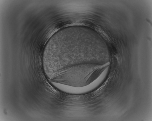 X0000097661177200803280944
