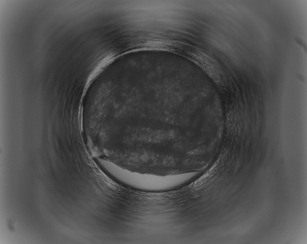 X0000097661180200803280944