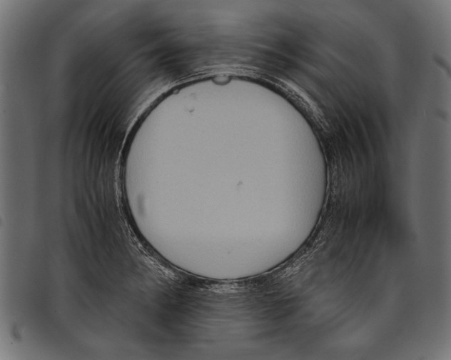 X0000097661182200803280944