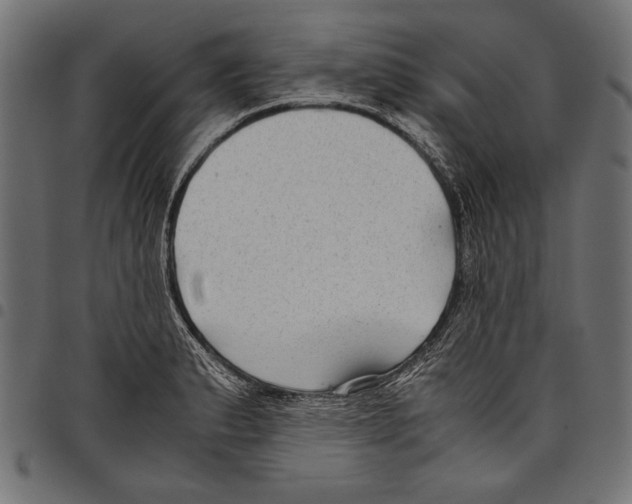 X0000097661183200803280944