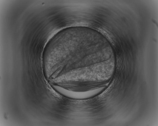 X0000097661184200803280944