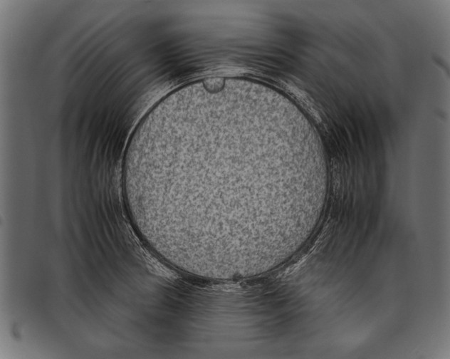 X0000097661186200803280944