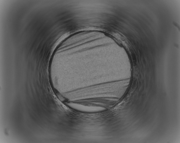 X0000097661189200803280944