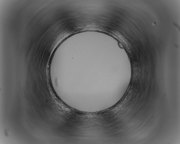 X0000097661190200803280944