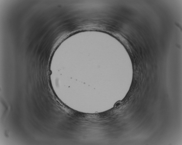 X0000097661191200803280944