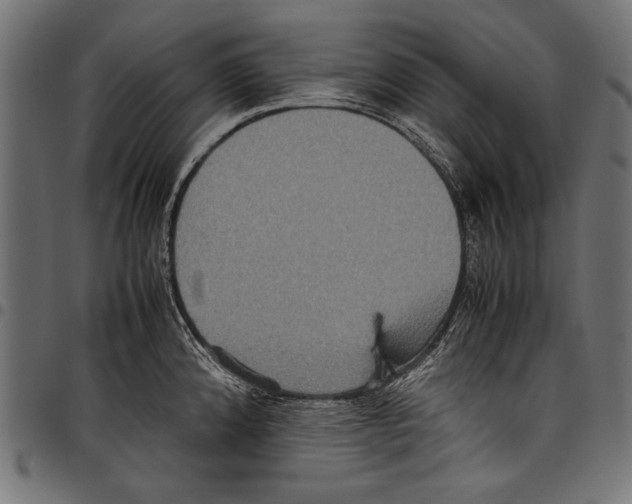 X0000097661192200803280944