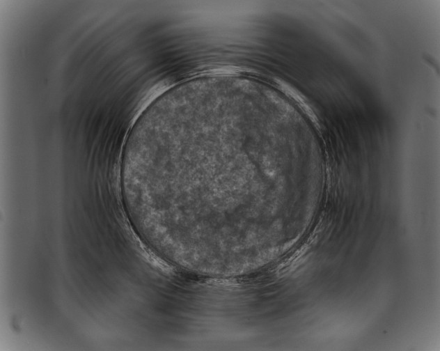 X0000097661194200803280944