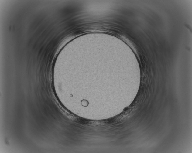 X0000097661195200803280944