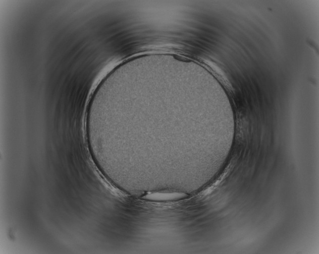 X0000097661196200803280944