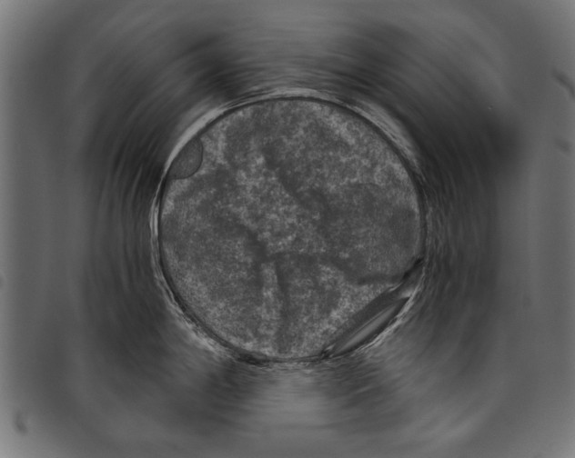 X0000097661198200803280944