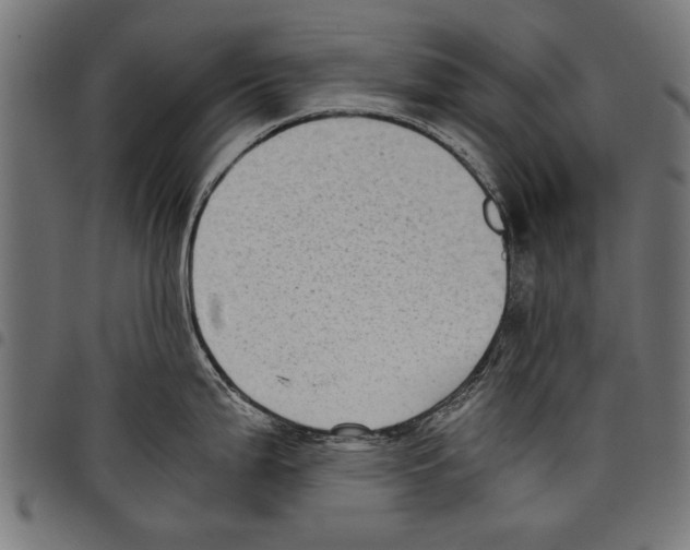 X0000097661199200803280944