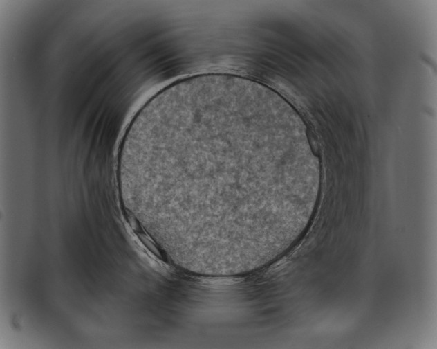 X0000097661200200803280944