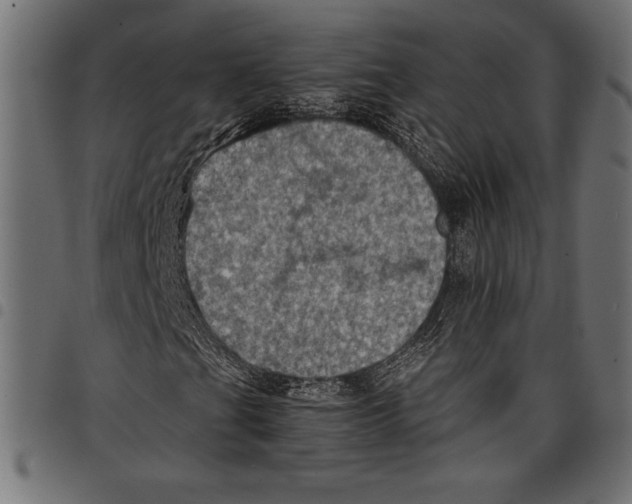 X0000097661201200803280943
