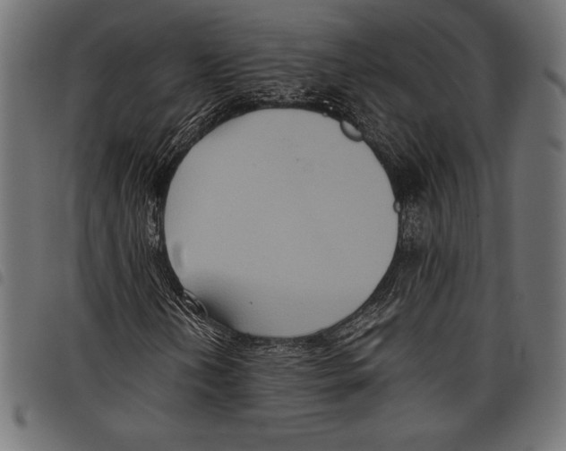 X0000097661202200803280943