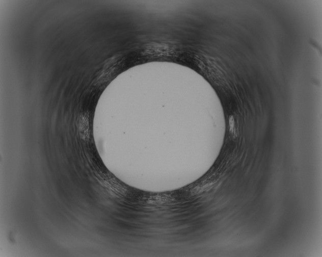 X0000097661203200803280943