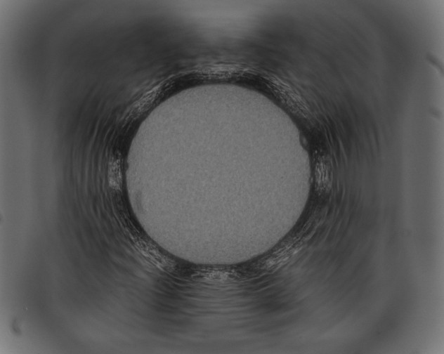 X0000097661204200803280943