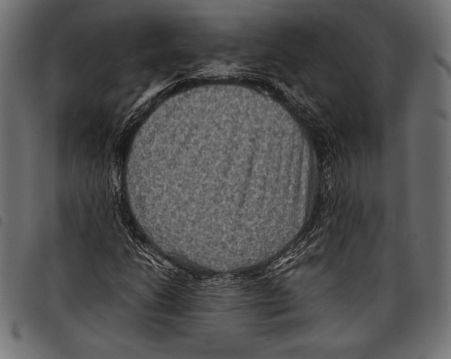 X0000097661206200803280943