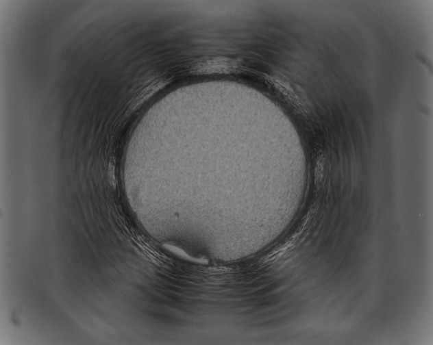 X0000097661209200803280943