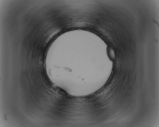 X0000097661210200803280943