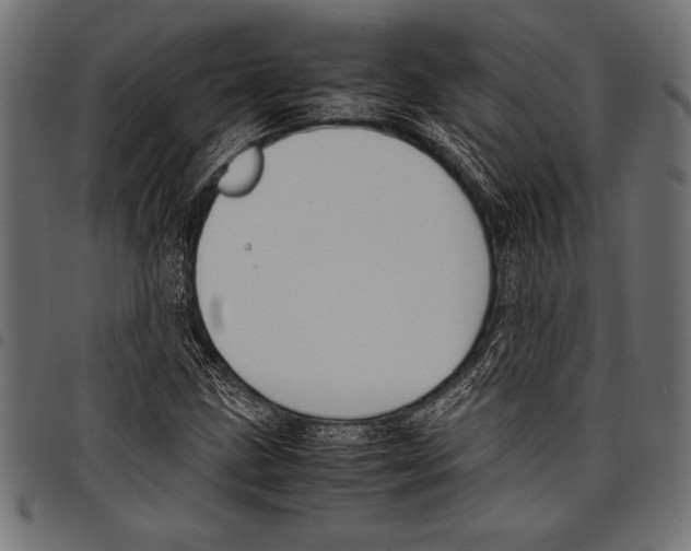 X0000097661211200803280943