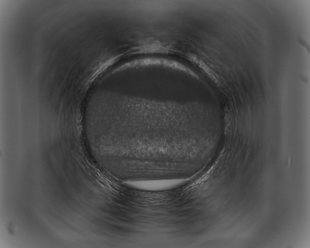 X0000097661213200803280944
