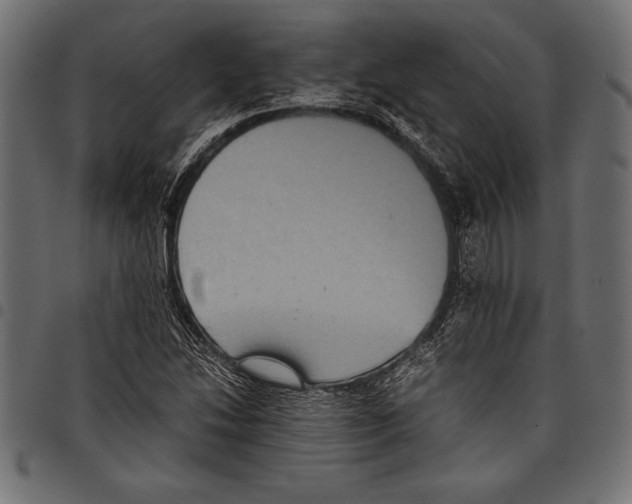 X0000097661214200803280944
