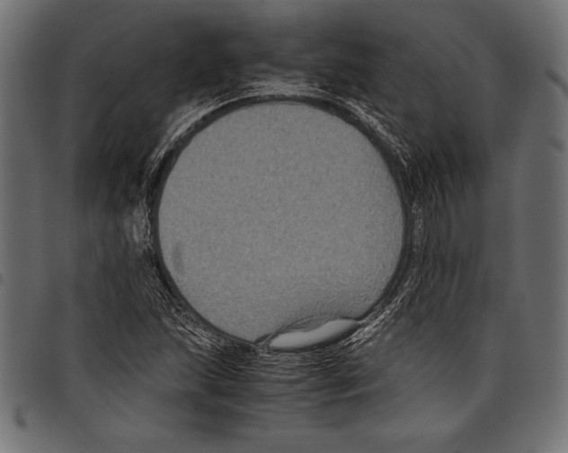 X0000097661215200803280944