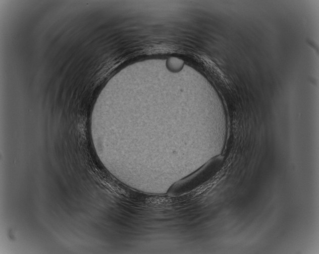 X0000097661217200803280944