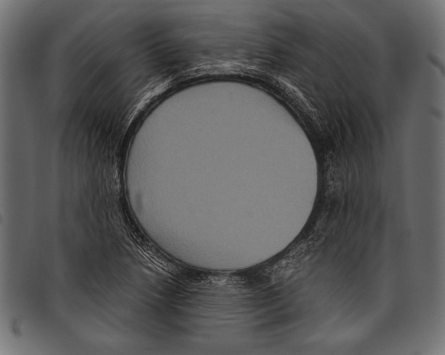 X0000097661218200803280944