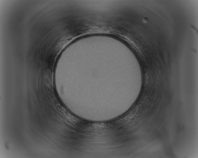 X0000097661220200803280944