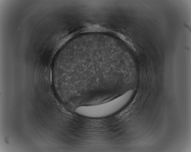 X0000097661221200803280944