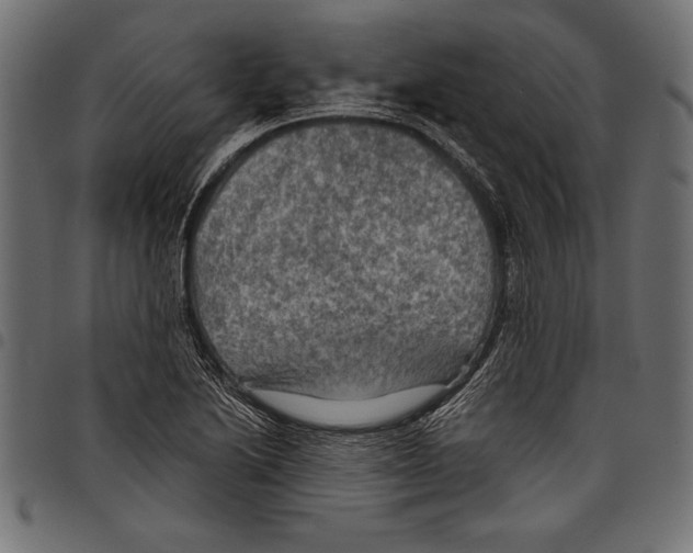 X0000097661222200803280944