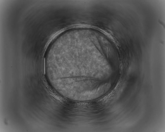 X0000097661223200803280944