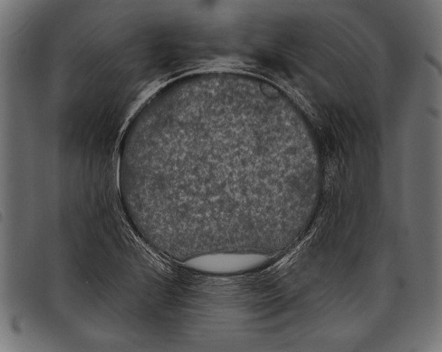 X0000097661224200803280944