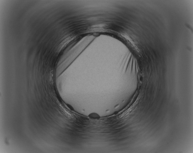 X0000097661225200803280944