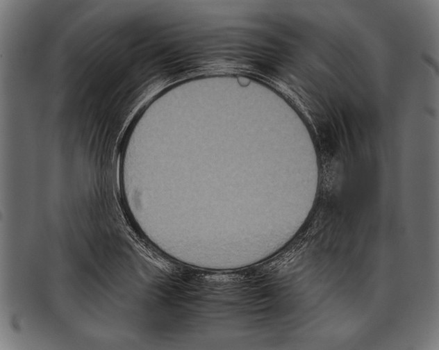 X0000097661227200803280944