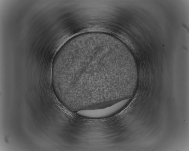 X0000097661228200803280944