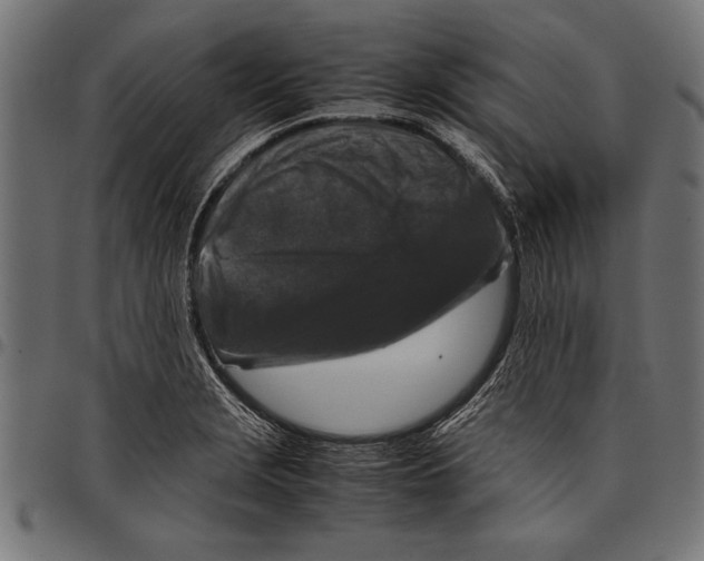 X0000097661229200803280944